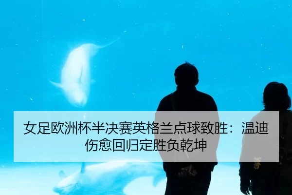 nv-zu-ou-zhou-bei-ban-jue-sai-ying-ge-lan-dian-qiu-zhi-sheng-wen-di-shang-yu-hui-gui-ding-sheng-fu-qian-kun-2-944.jpg